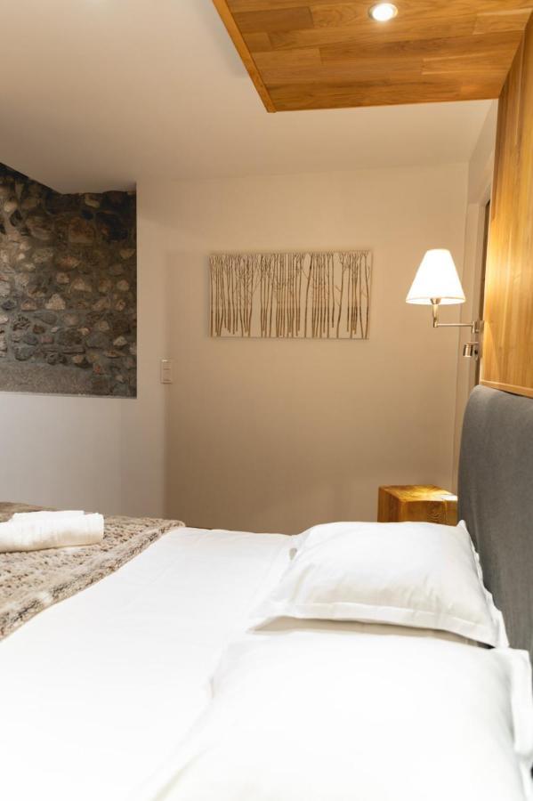 La Cour Filaterie - Suite Au D'Annecy Pdj En Option 외부 사진